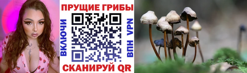 MEGA зеркало  Миллерово  Галлюциногенные грибы Psilocybe 